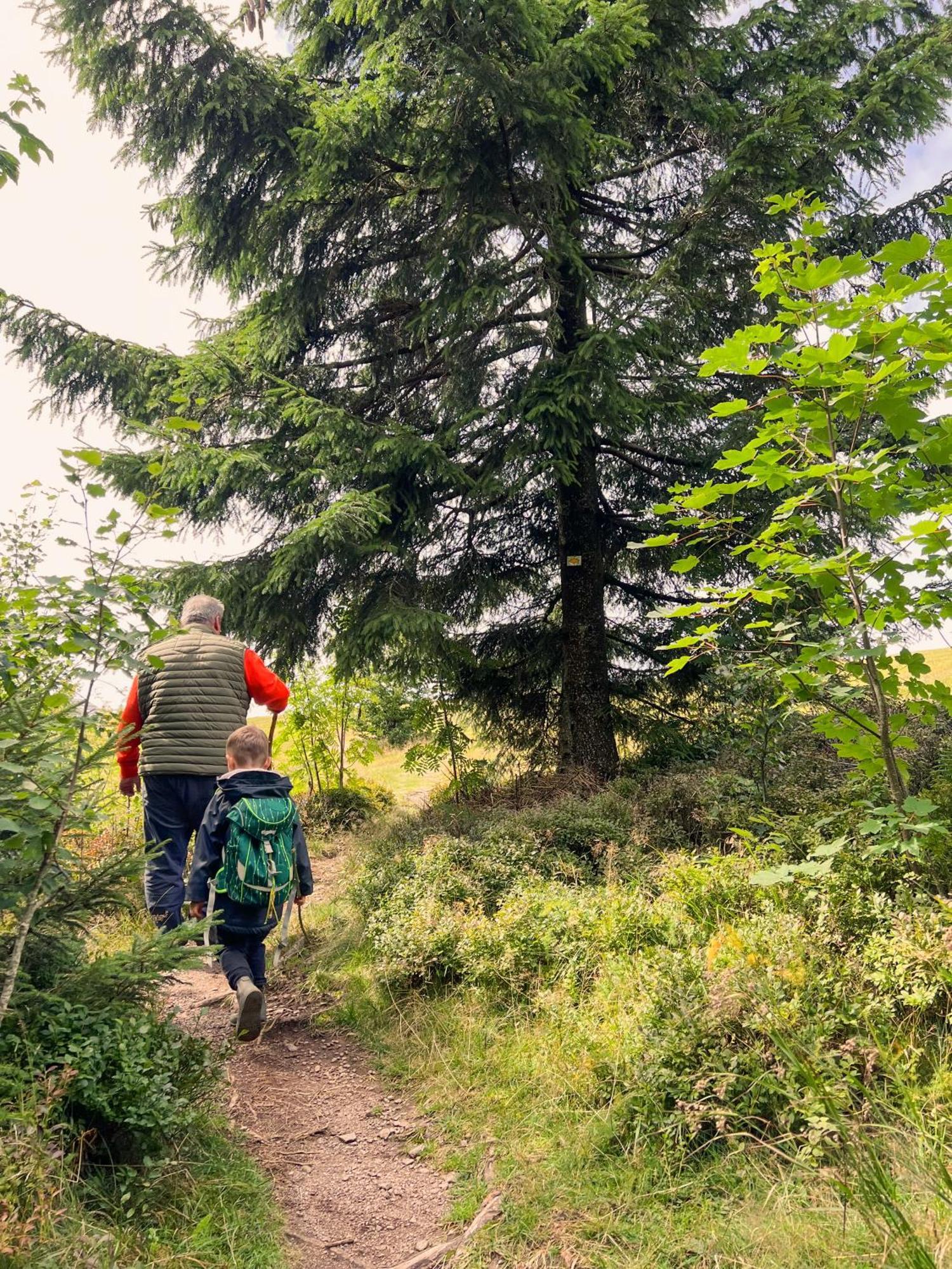 Bergwelt Kandel Hotel & Eventlocation Waldkirch Zewnętrze zdjęcie