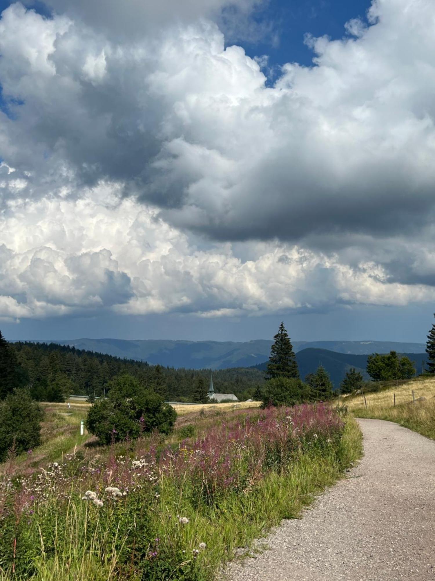Bergwelt Kandel Hotel & Eventlocation Waldkirch Zewnętrze zdjęcie